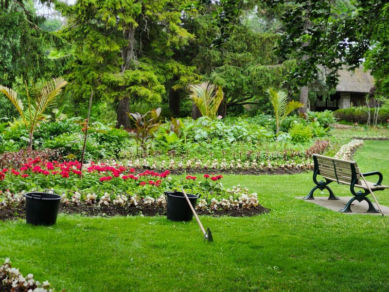SEO para empresas de jardinería y paisajismo en Sevilla